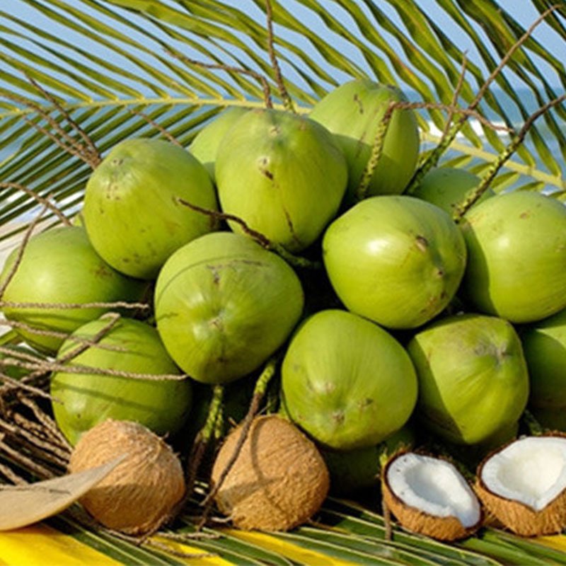dua-xiem-nuoc-uong