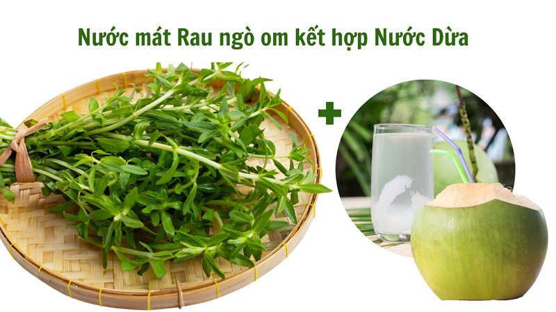 bai-thuoc-tu-dua-01