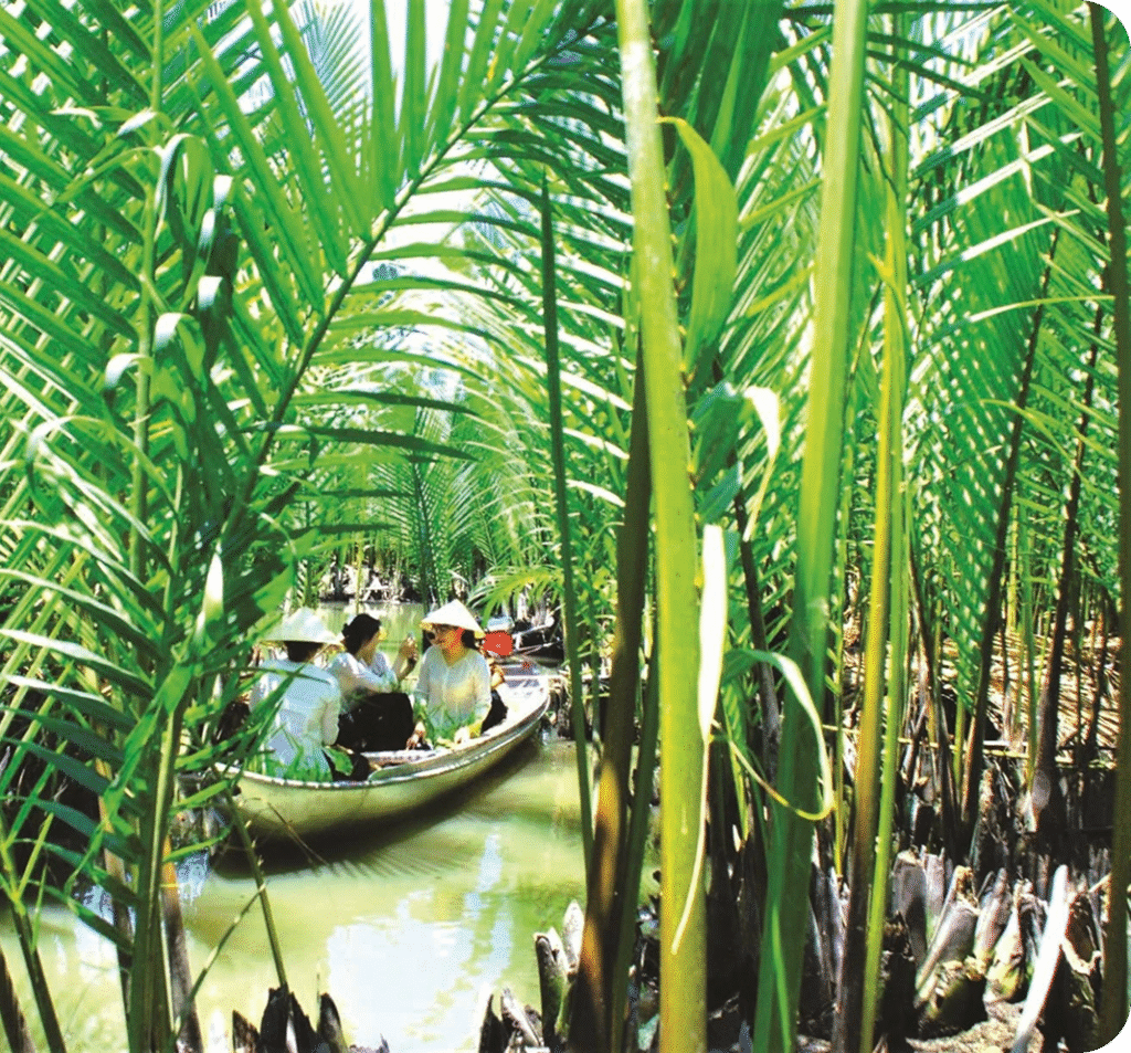 hình ảnh dừa liên hệ